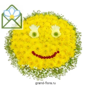 Улыбка счастья